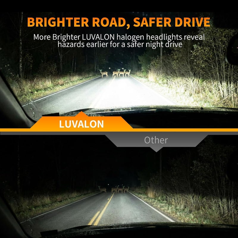 LUVALON Upgraded H11 Halogen Headlight Bulbs, 12V 55W H11 Headlight Bulbs, High Beam, Low Beam and Fog Light Replacement, Automotive Headlight Bulbs, High Performance, Super Bright, 2 Pack - Image 5